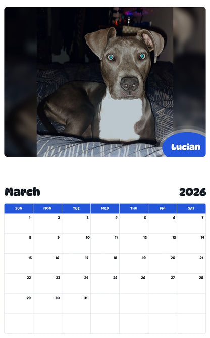 November 2025 - October 2026 Lucian - Pawidols Pet Calendar
