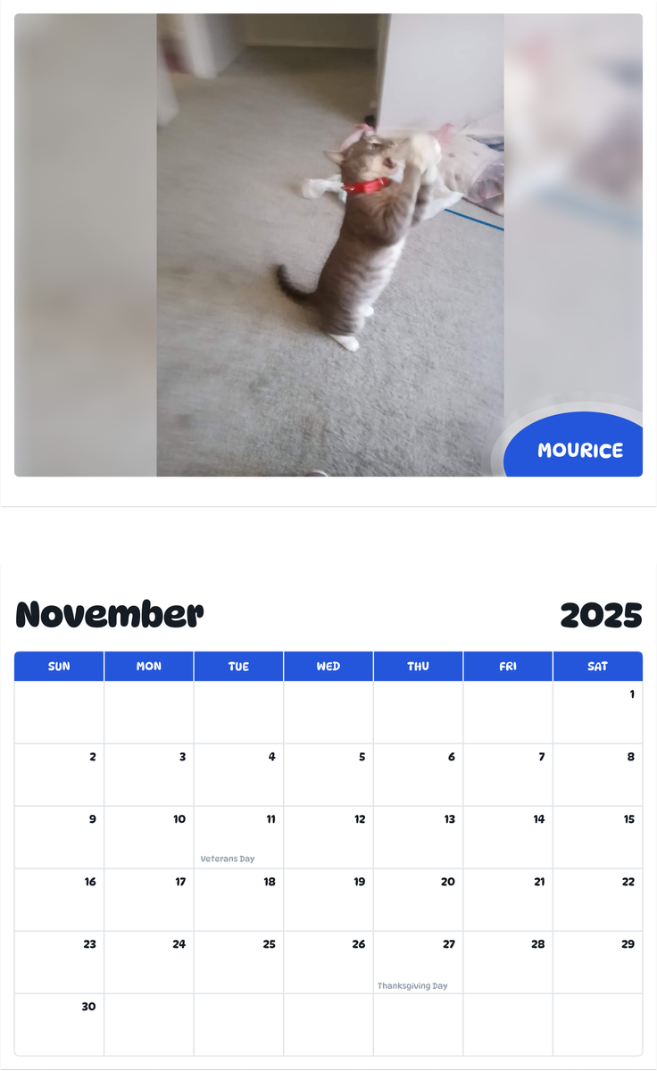 July 2025 - June 2026 Mourice - Pawidols Pet Calendar