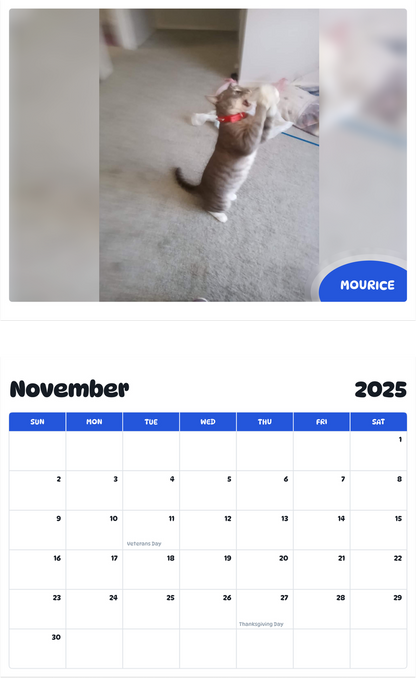 July 2025 - June 2026 Mourice - Pawidols Pet Calendar