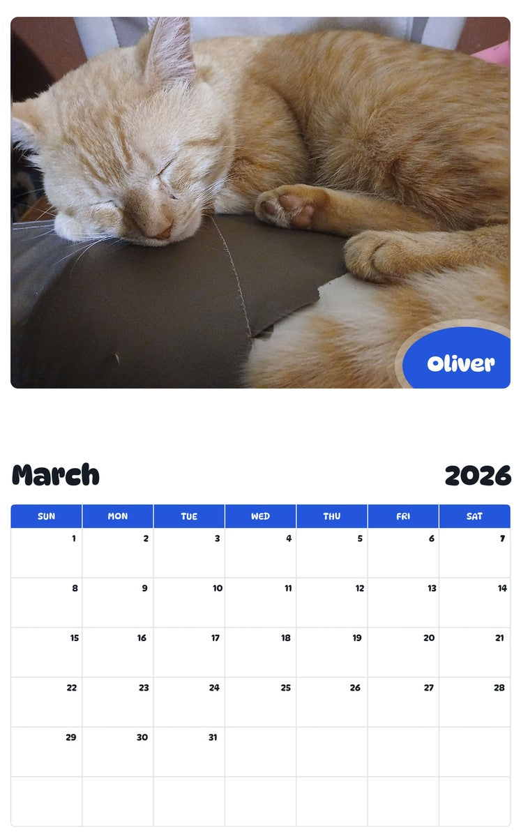 November 2025 - October 2026 Oliver - Pawidols Pet Calendar