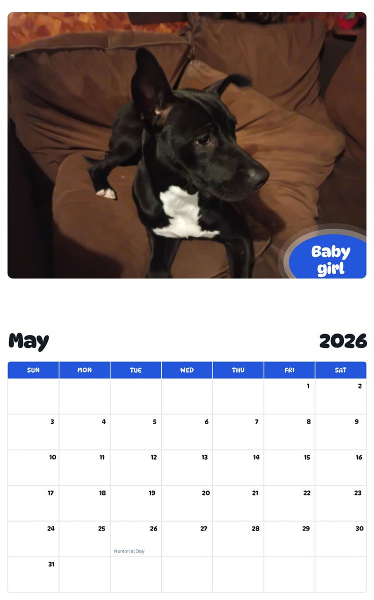 2026 - 2027 Baby girl - Pawidols Pet Calendar