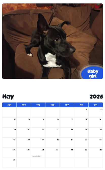2026 - 2027 Baby girl - Pawidols Pet Calendar