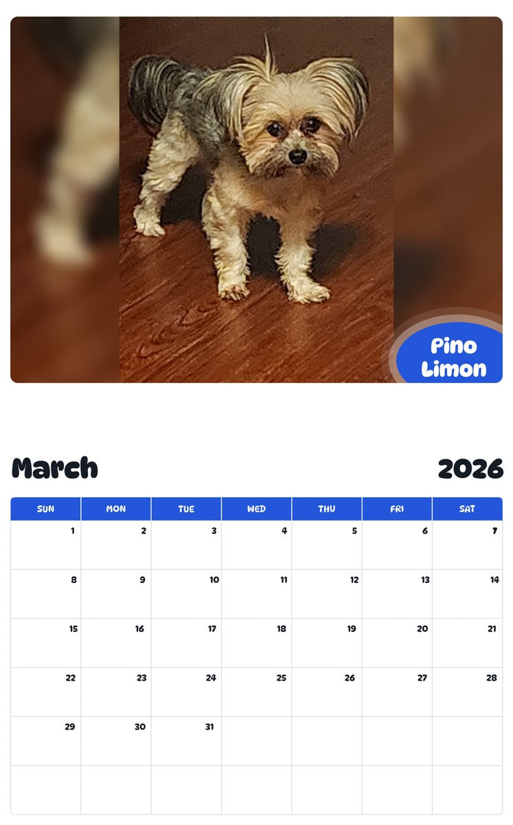 November 2025 - October 2026 Pino Limon - Pawidols Pet Calendar