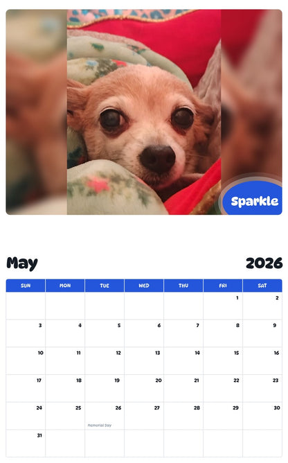 2026 - 2027 Sparkle - Pawidols Pet Calendar