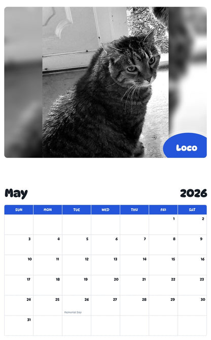2026 - 2027 Loco - Pawidols Pet Calendar