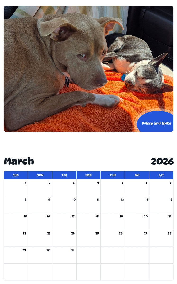 November 2025 - October 2026 Prissy and Spike - Pawidols Pet Calendar