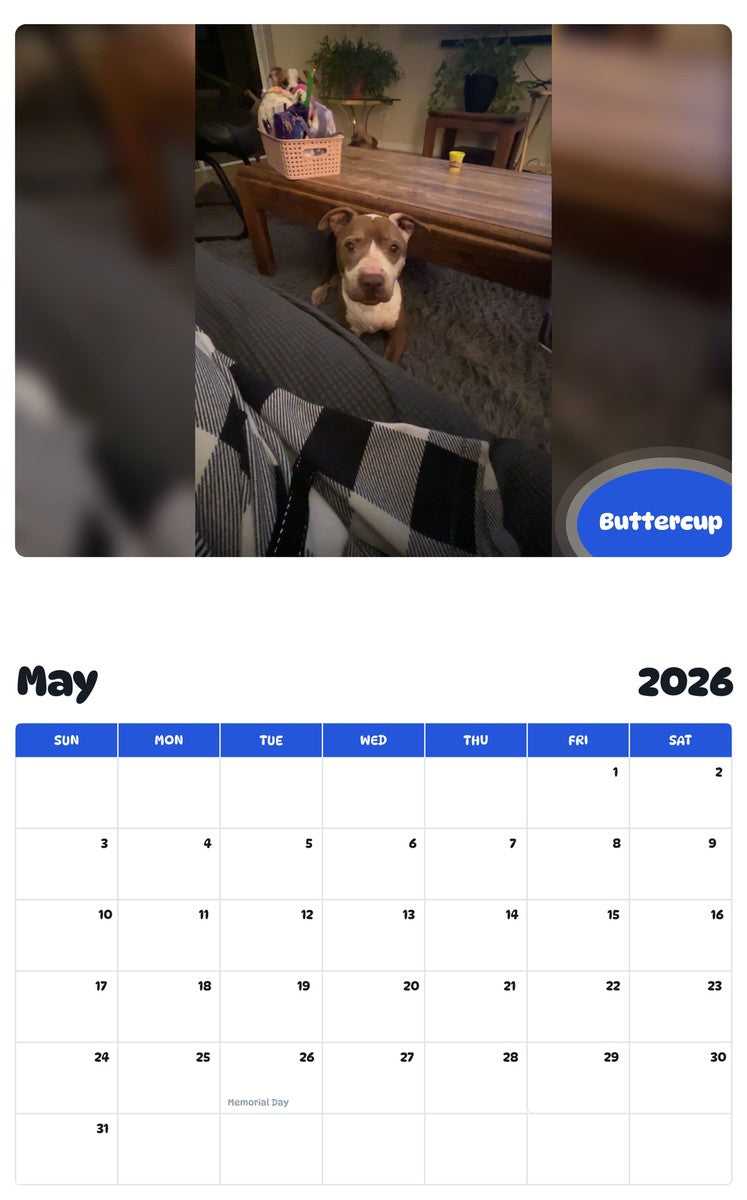 2026 - 2027 Buttercup - Pawidols Pet Calendar