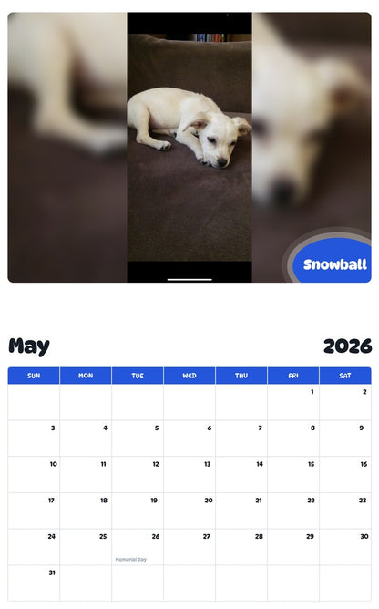 2026 - 2027 Snowball - Pawidols Pet Calendar