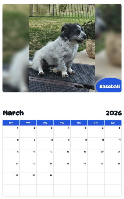November 2025 - October 2026 Baseball - Pawidols Pet Calendar