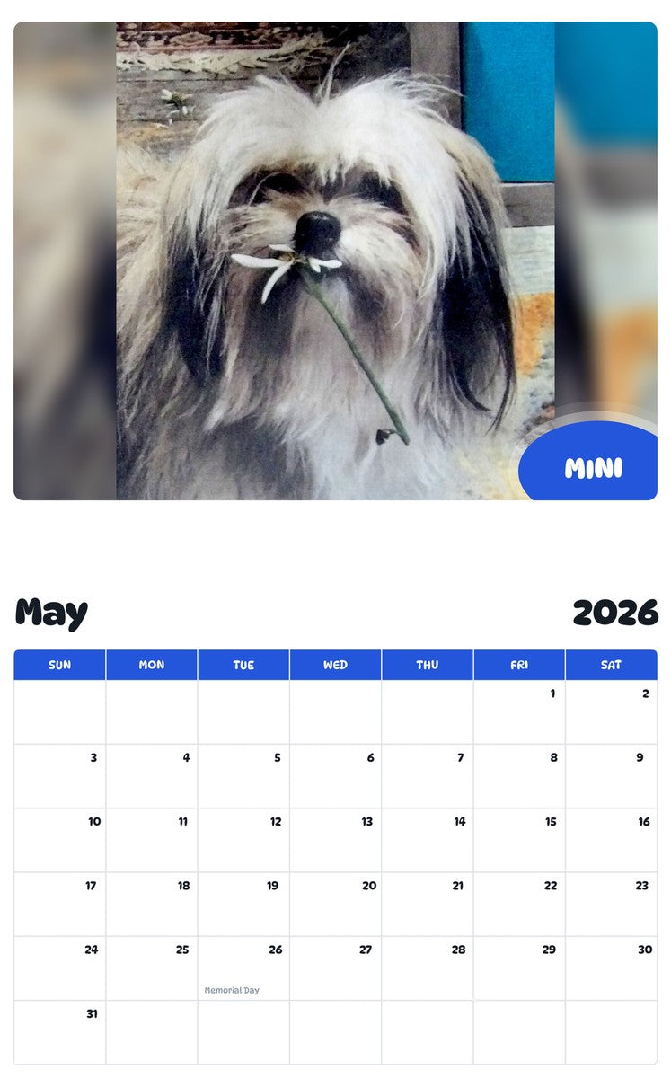 2026 - 2027 MINI - Pawidols Pet Calendar