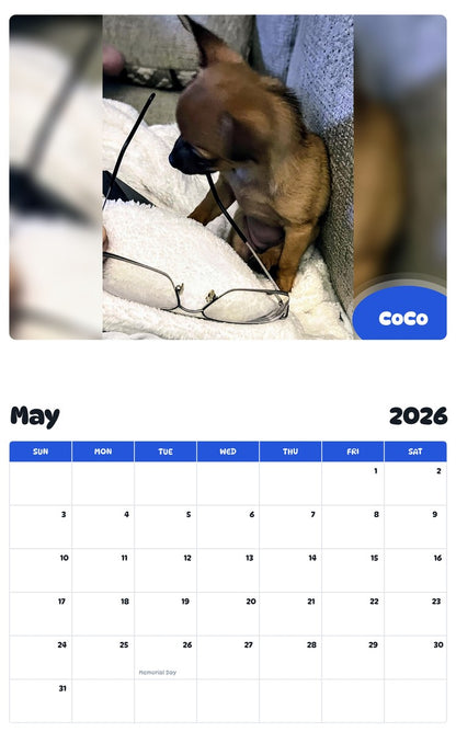 2026 - 2027 CoCo - Pawidols Pet Calendar