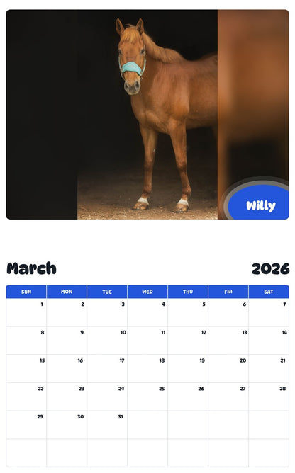 November 2025 - October 2026 Willy - Pawidols Pet Calendar