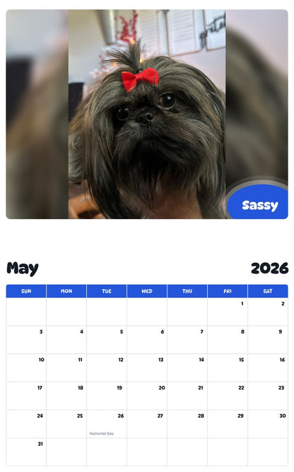 2026 - 2027 Sassy - Pawidols Pet Calendar