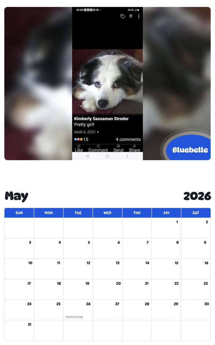 2026 - 2027 Bluebelle - Pawidols Pet Calendar