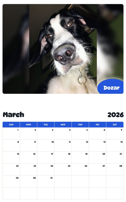 November 2025 - October 2026 Dozar - Pawidols Pet Calendar
