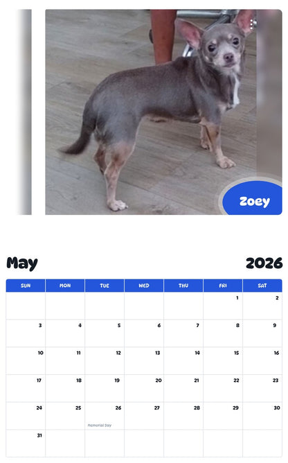 2026 - 2027 Zoey - Pawidols Pet Calendar