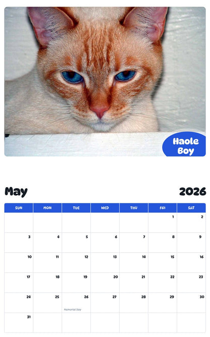 2026 - 2027 Haole Boy - Pawidols Pet Calendar