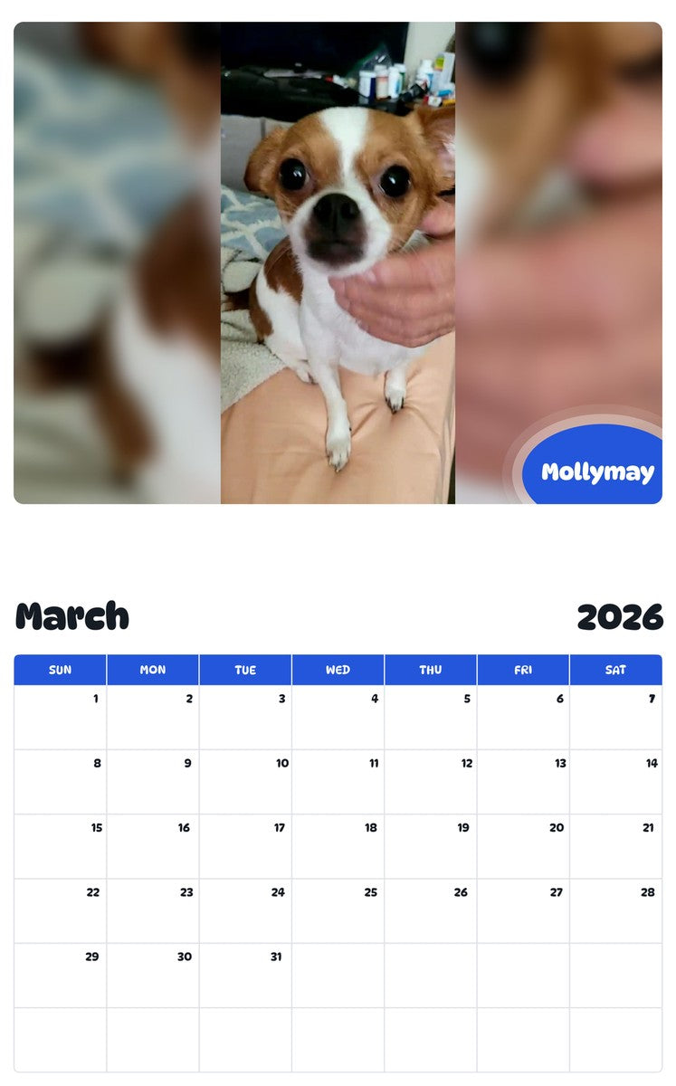 November 2025 - October 2026 Mollymay - Pawidols Pet Calendar