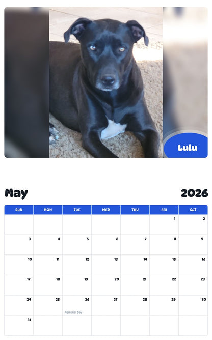 2026 - 2027 Lulu - Pawidols Pet Calendar