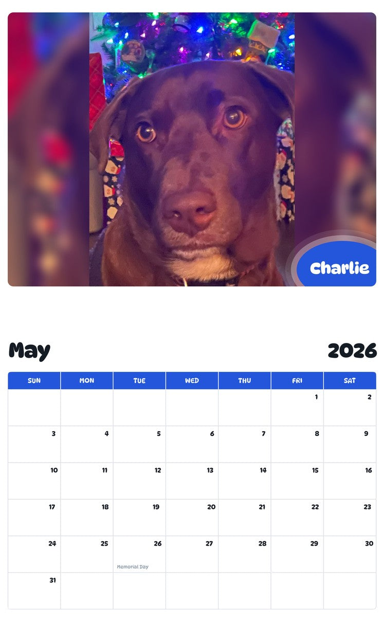 2026 - 2027 Charlie - Pawidols Pet Calendar