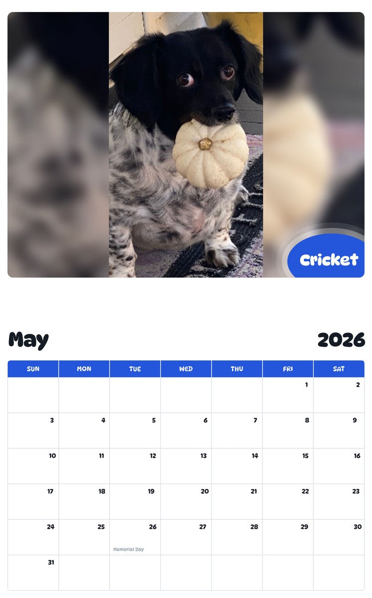 2026 - 2027 Cricket - Pawidols Pet Calendar