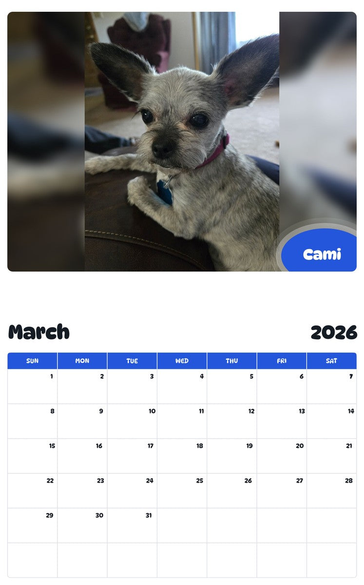 November 2025 - October 2026 Cami - Pawidols Pet Calendar