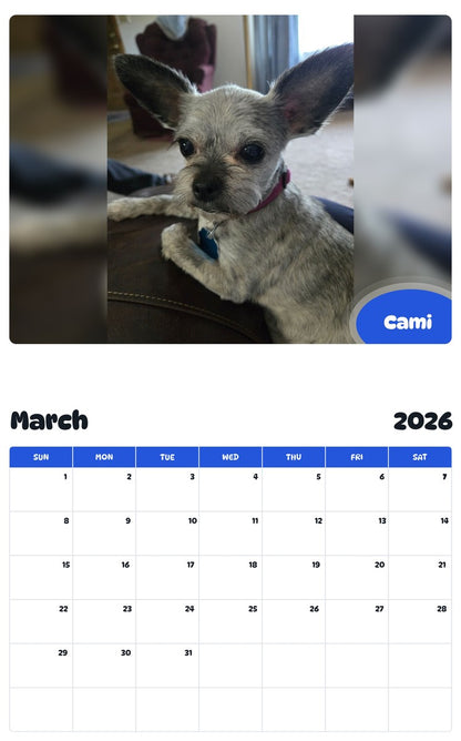 November 2025 - October 2026 Cami - Pawidols Pet Calendar