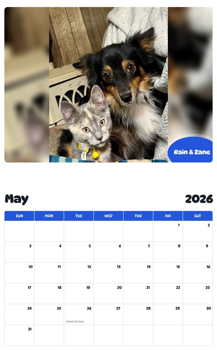 2026 - 2027 Rain & Zane - Pawidols Pet Calendar