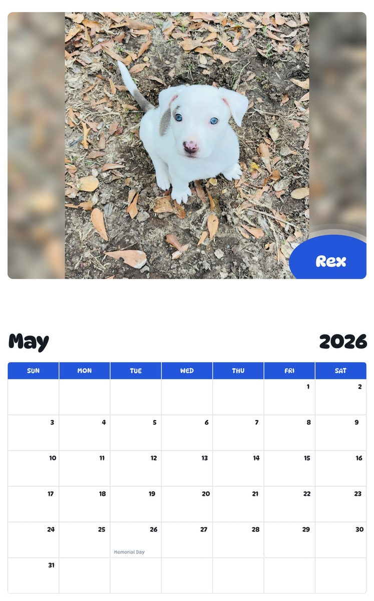 2026 - 2027 Rex - Pawidols Pet Calendar