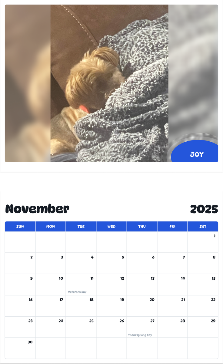July 2025 - June 2026 Joy - Pawidols Pet Calendar