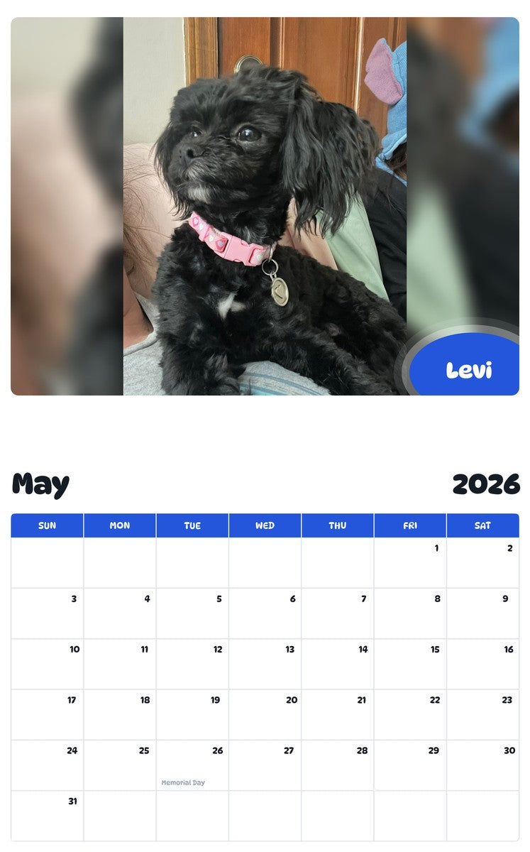 2026 - 2027 Levi - Pawidols Pet Calendar