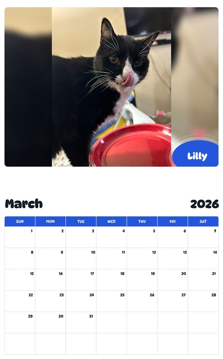 November 2025 - October 2026 Lilly - Pawidols Pet Calendar