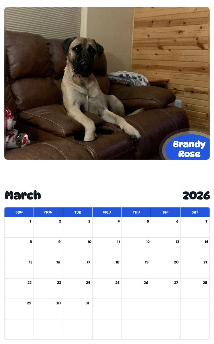 November 2025 - October 2026 Brandy Rose - Pawidols Pet Calendar