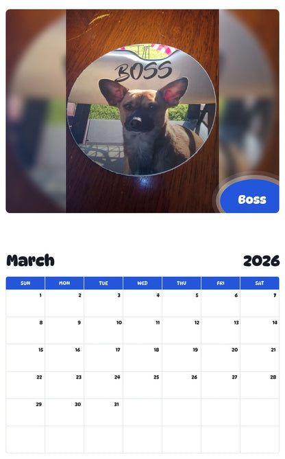 November 2025 - October 2026 Boss - Pawidols Pet Calendar
