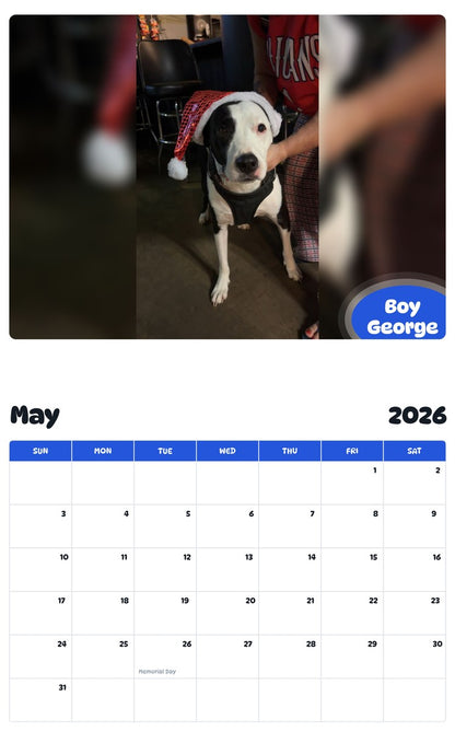 2026 - 2027 Boy George - Pawidols Pet Calendar