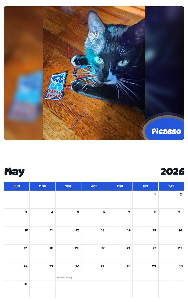 2026 - 2027 Picasso - Pawidols Pet Calendar