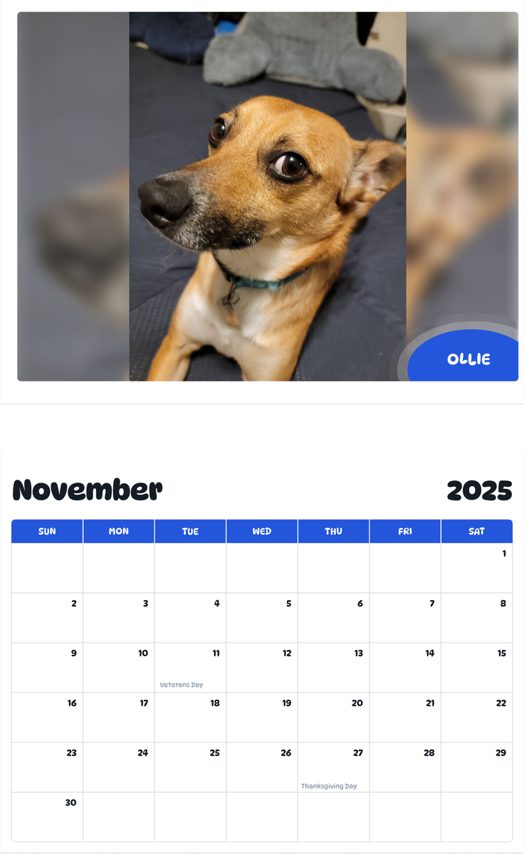 July 2025 - June 2026 Ollie - Pawidols Pet Calendar