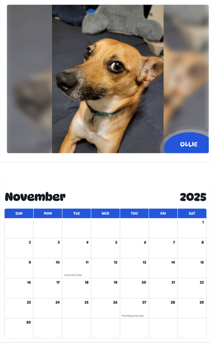 July 2025 - June 2026 Ollie - Pawidols Pet Calendar