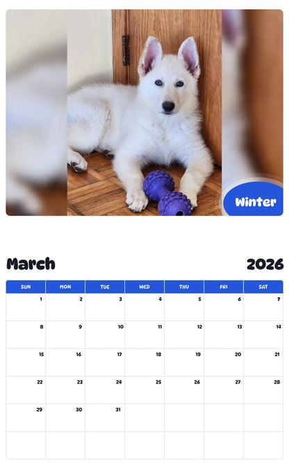 November 2025 - October 2026 Winter - Pawidols Pet Calendar