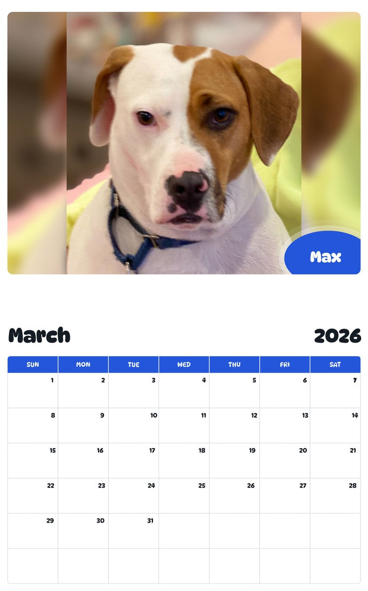 November 2025 - October 2026 Max - Pawidols Pet Calendar