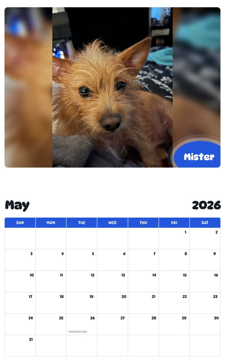 2026 - 2027 Mister - Pawidols Pet Calendar