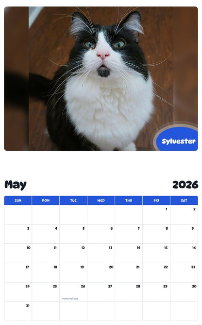 2026 - 2027 Sylvester - Pawidols Pet Calendar