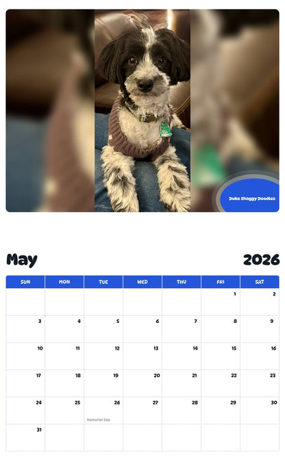 2026 - 2027 Duke Shaggy Doodles - Pawidols Pet Calendar