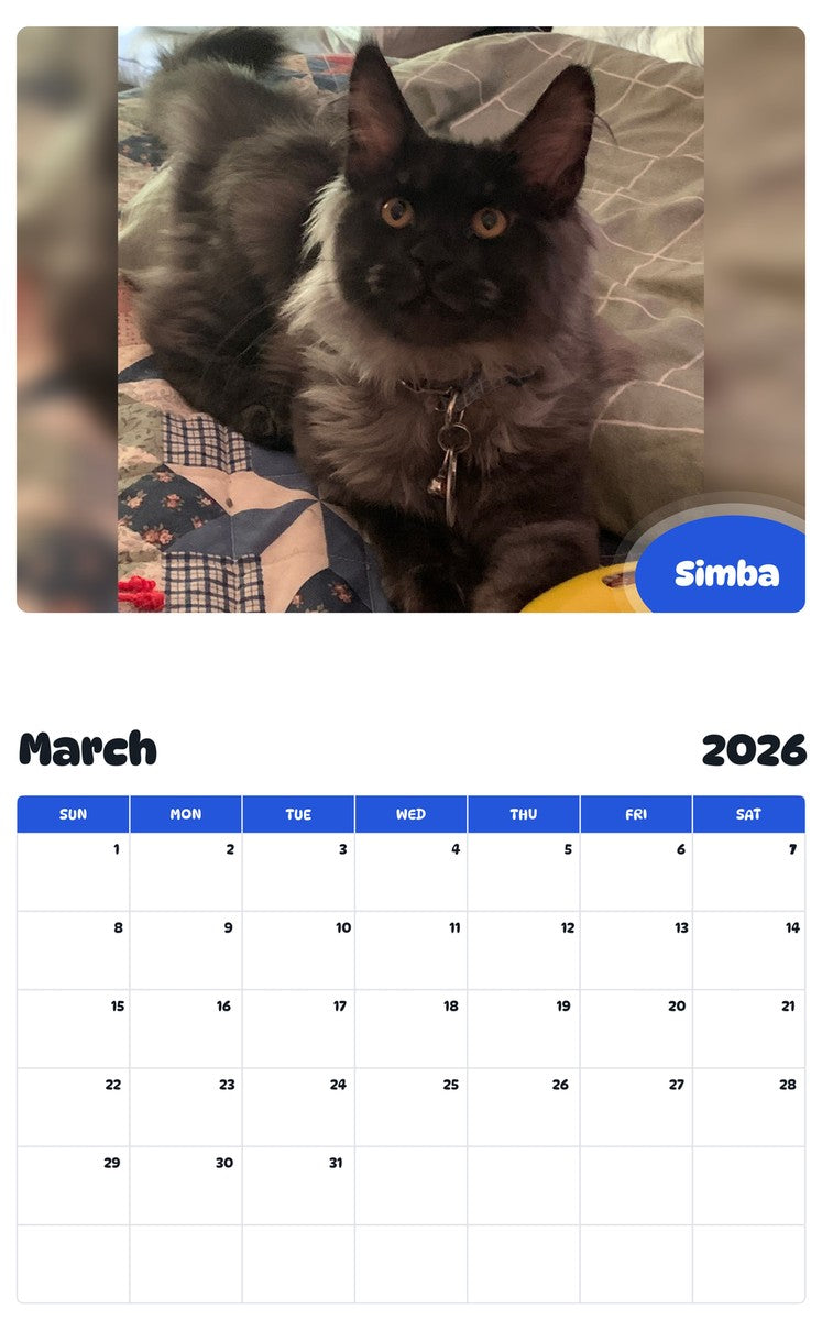 November 2025 - October 2026 Simba - Pawidols Pet Calendar