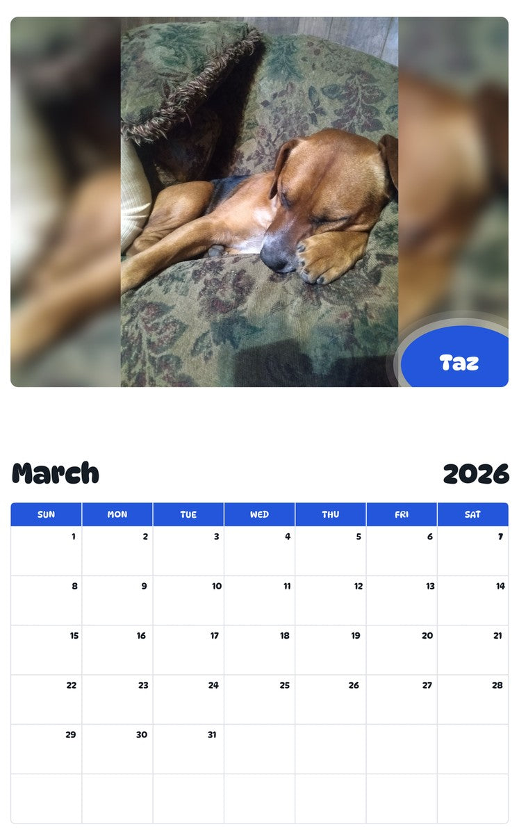 November 2025 - October 2026 Taz - Pawidols Pet Calendar