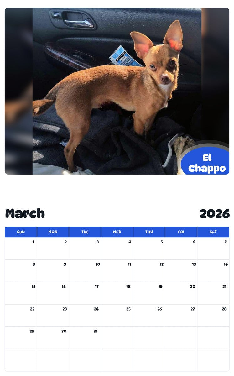 November 2025 - October 2026 El Chappo - Pawidols Pet Calendar