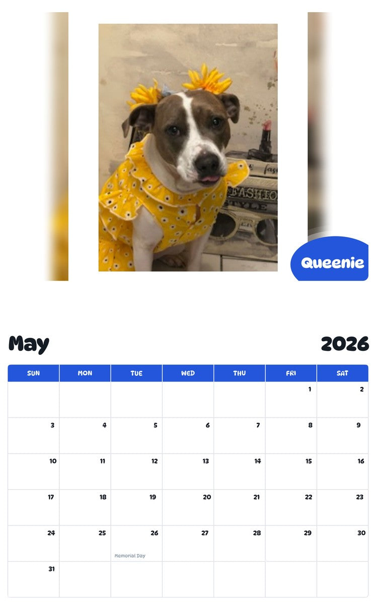 2026 - 2027 Queenie - Pawidols Pet Calendar