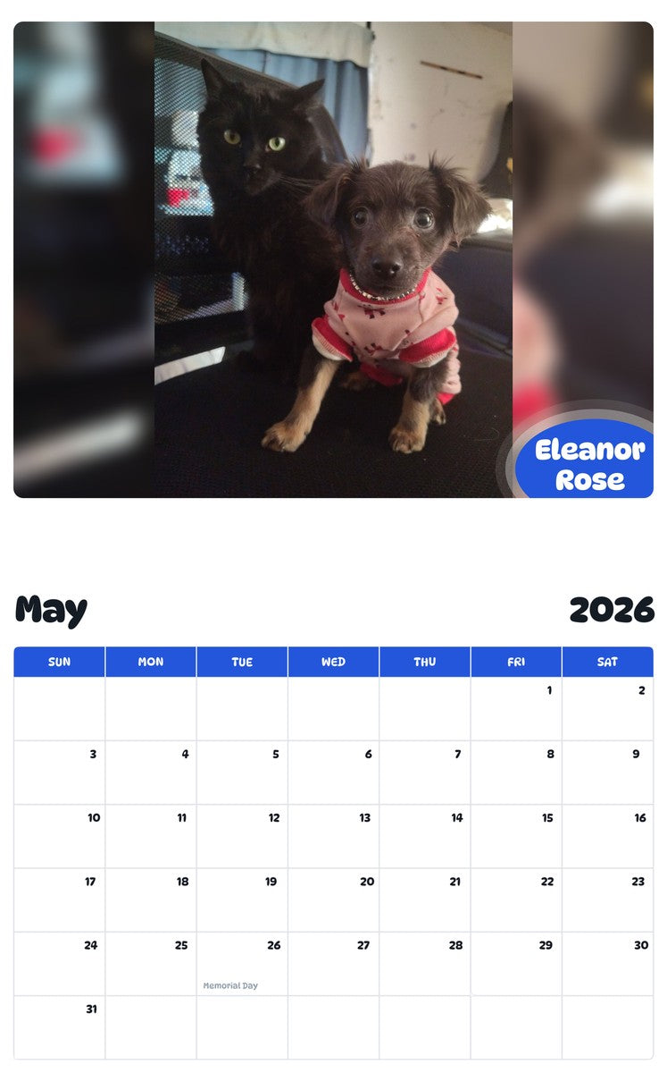 2026 - 2027 Eleanor Rose - Pawidols Pet Calendar