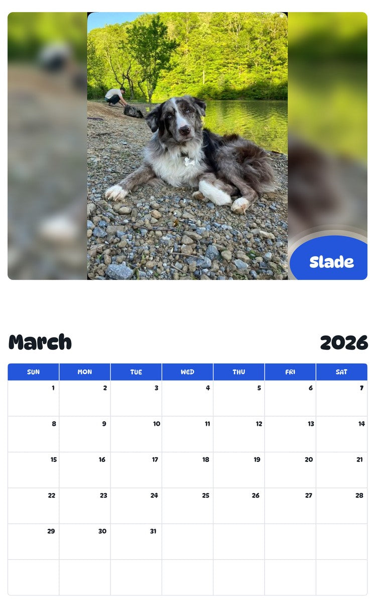 November 2025 - October 2026 Slade - Pawidols Pet Calendar