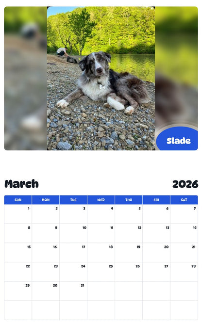 November 2025 - October 2026 Slade - Pawidols Pet Calendar